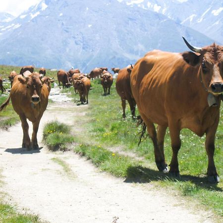 Aux Portes Du Parc National De La Vanoise Appartement Termignon Val Cenis Avec Wifi 外观 照片