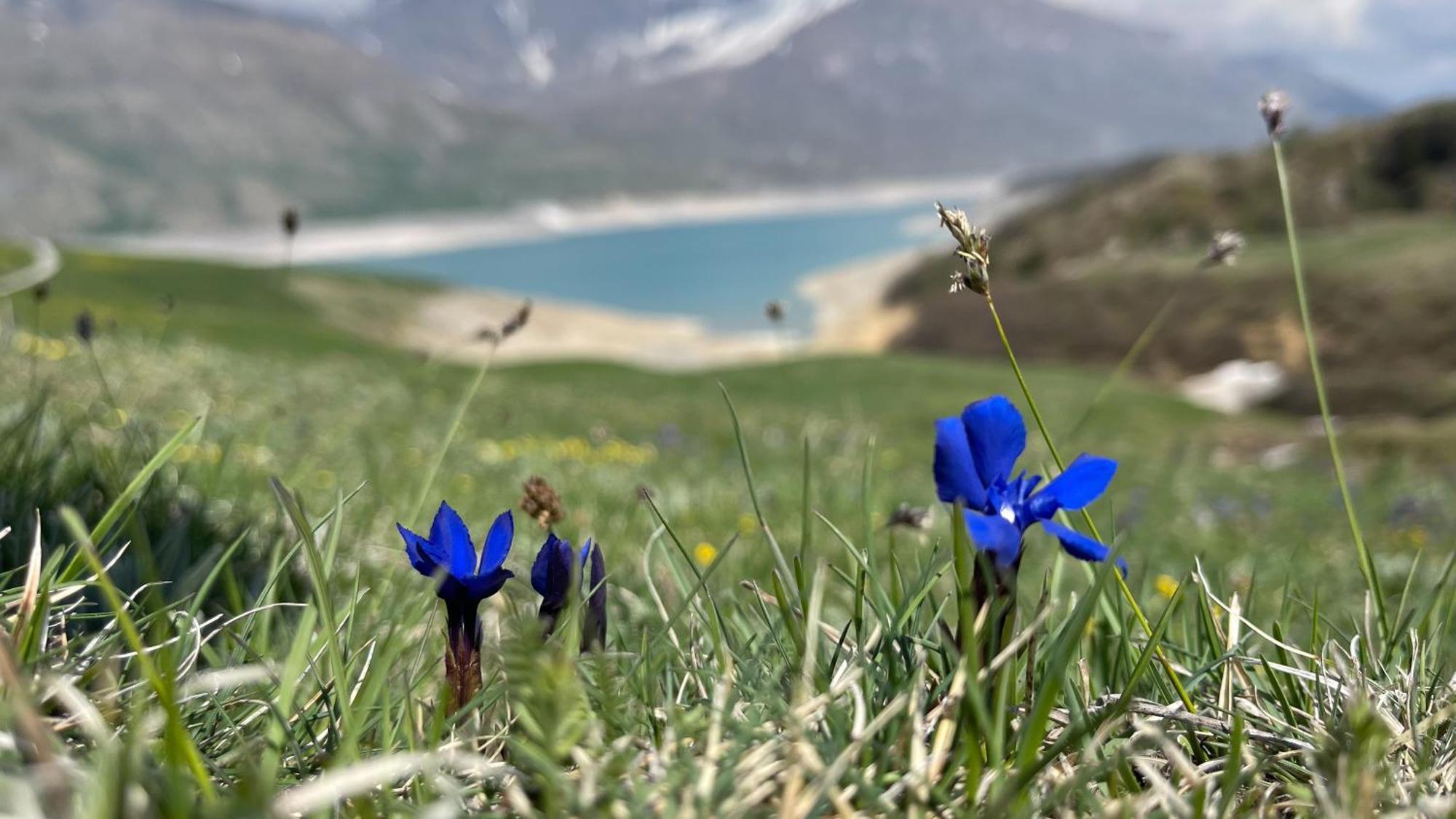 Aux Portes Du Parc National De La Vanoise Appartement Termignon Val Cenis Avec Wifi 外观 照片