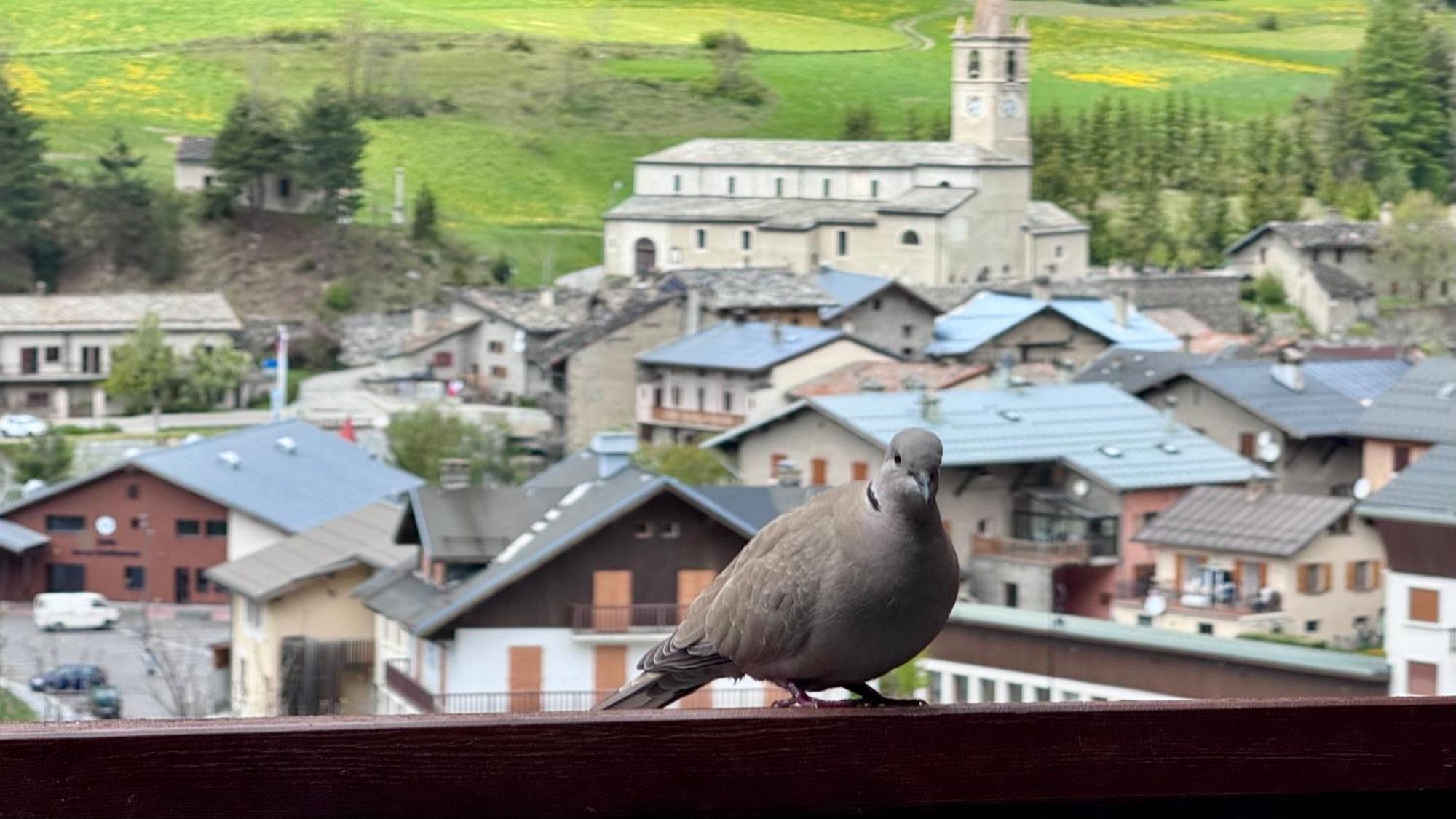Aux Portes Du Parc National De La Vanoise Appartement Termignon Val Cenis Avec Wifi 外观 照片